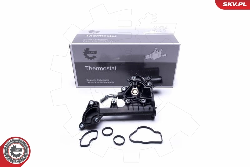 Thermostat, coolant